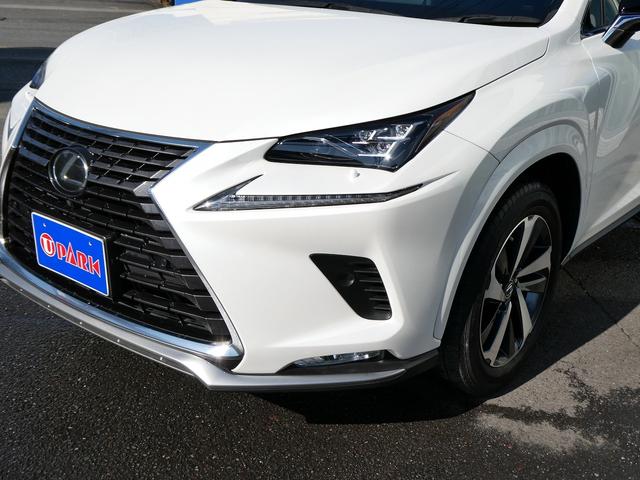 ＮＸ ＮＸ３００　スパイス＆シック　後期・黒革Ｌ－ＴＥＸエアシート・パノラマルーフ・パノラミックビュー・３眼ＬＥＤ・純正ナビ・フルセグ・後席モニター・同色フェンダー・専用内装色・パワーバックドア・ＢＳＭ・セーフティＳ・オートＨＩビーム（58枚目）