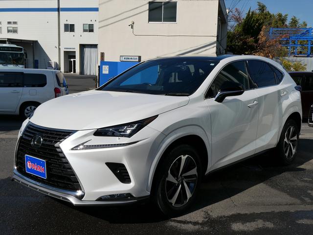 ＮＸ ＮＸ３００　スパイス＆シック　後期・黒革Ｌ－ＴＥＸエアシート・パノラマルーフ・パノラミックビュー・３眼ＬＥＤ・純正ナビ・フルセグ・後席モニター・同色フェンダー・専用内装色・パワーバックドア・ＢＳＭ・セーフティＳ・オートＨＩビーム（69枚目）