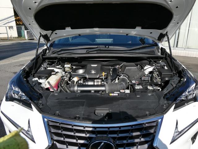 ＮＸ ＮＸ３００　スパイス＆シック　後期・黒革Ｌ－ＴＥＸエアシート・パノラマルーフ・パノラミックビュー・３眼ＬＥＤ・純正ナビ・フルセグ・後席モニター・同色フェンダー・専用内装色・パワーバックドア・ＢＳＭ・セーフティＳ・オートＨＩビーム（74枚目）