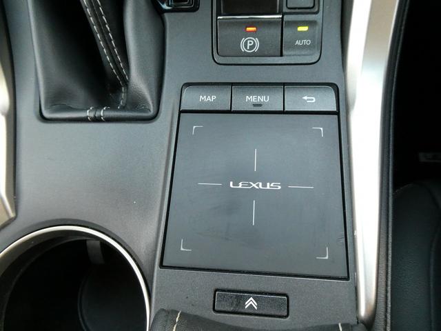 ＮＸ ＮＸ３００ｈ　Ｉパッケージ　後期・１オーナー・黒革Ｌ－ＴＥＸシート・３眼ＬＥＤヘッド・純正ナビ・フルセグ・Ｓ／Ｂカメラ・純正１８ＡＷ・パワーバックドア・セーフティＳ・パドルシフト・オートＨＩビーム・シートヒーター・ステアヒーター（28枚目）