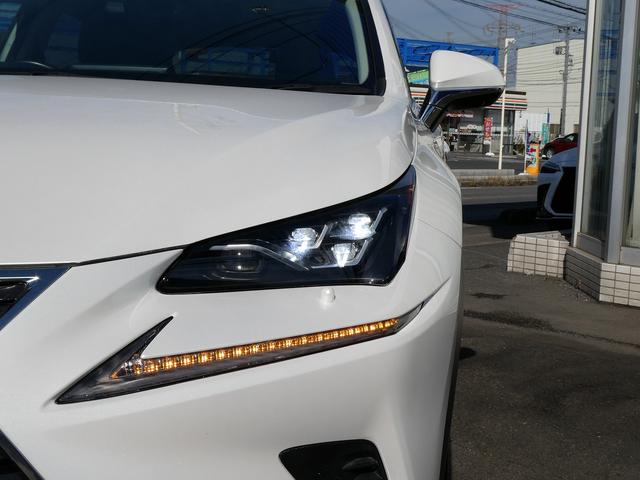 ＮＸ ＮＸ３００ｈ　Ｉパッケージ　後期・１オーナー・黒革Ｌ－ＴＥＸシート・３眼ＬＥＤヘッド・純正ナビ・フルセグ・Ｓ／Ｂカメラ・純正１８ＡＷ・パワーバックドア・セーフティＳ・パドルシフト・オートＨＩビーム・シートヒーター・ステアヒーター（51枚目）