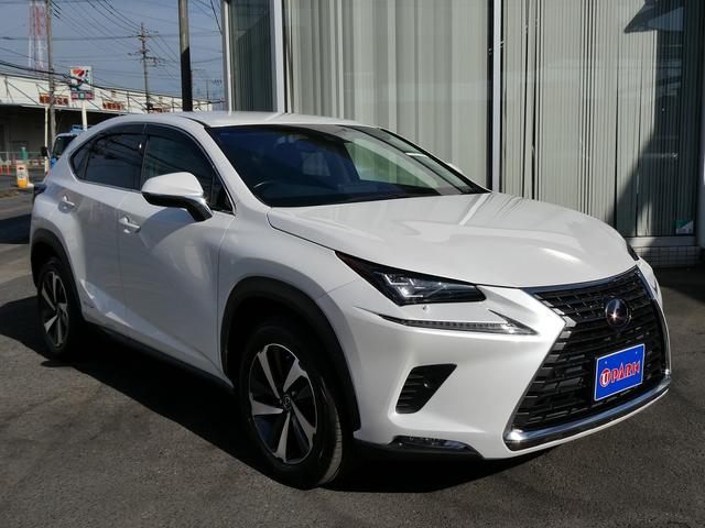 ＮＸ ＮＸ３００ｈ　Ｉパッケージ　後期・１オーナー・黒革Ｌ－ＴＥＸシート・３眼ＬＥＤヘッド・純正ナビ・フルセグ・Ｓ／Ｂカメラ・純正１８ＡＷ・パワーバックドア・セーフティＳ・パドルシフト・オートＨＩビーム・シートヒーター・ステアヒーター（62枚目）