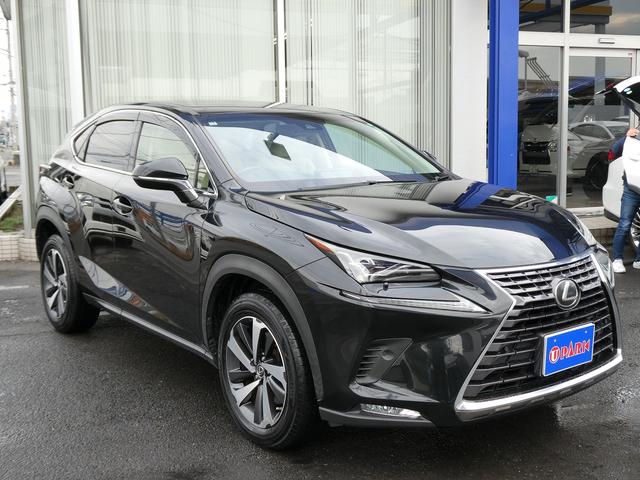 ＮＸ ＮＸ３００　Ｉパッケージ　後期・１オーナー・セーフティＳ・白革Ｌ－ＴＥＸシート・３眼ＬＥＤヘッド・純正ナビ・フルセグ・Ｓ／Ｂカメラ・パワーバックドア・純正１８ＡＷ・オートＨＩビーム・パドルシフト・本革ステア・シートヒーター（62枚目）