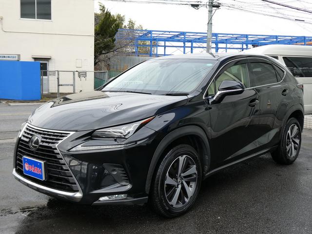 ＮＸ ＮＸ３００　Ｉパッケージ　後期・１オーナー・セーフティＳ・白革Ｌ－ＴＥＸシート・３眼ＬＥＤヘッド・純正ナビ・フルセグ・Ｓ／Ｂカメラ・パワーバックドア・純正１８ＡＷ・オートＨＩビーム・パドルシフト・本革ステア・シートヒーター（64枚目）