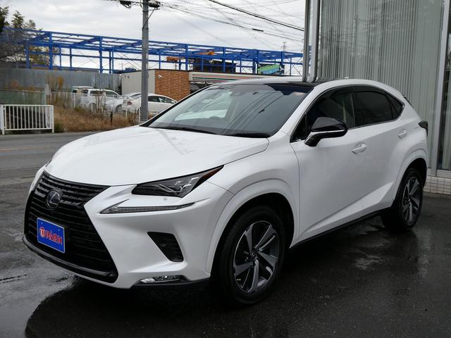 ＮＸ ＮＸ３００ｈブラックシークエンス　後期・特別仕様車・黒革Ｌ－ＴＥＸシート・パノラマルーフ・パノラミックビュー・３眼ＬＥＤ・ブラックグリル・ボディー同色フェンダーアーチ・純正ナビ・フルセグ・純正１８ＡＷ・パワーバックドア・シートヒーター（68枚目）