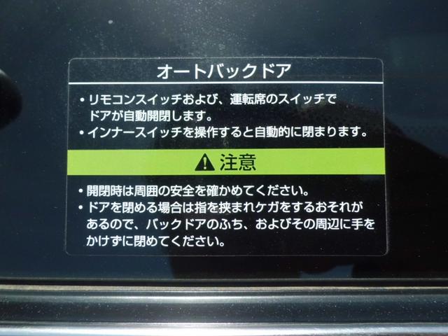 ２５０ハイウェイスター　純正ＨＤＤナビ　地ＤＴＶ　全周囲カメラ　ＣＤ録＆ＤＶＤ　Ｂｌｕｅｔｏｏｔｈ　ＥＴＣ　ＵＳＢ　フリップダウンモニター　ドラレコ　両側自動ドア　Ｈレザーシート　社外クルコン　ＨＩＤ　前後Ｃセンサー(67枚目)