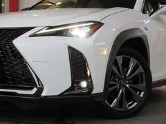 ŤƻǤ볦ɹʡץƥ֥ϥӡջ̣ţĥإåɥ饤ȡ̣ţĥե 7