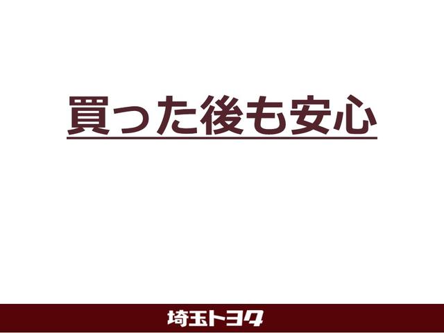 Ｇ　衝突軽減ブレーキ　ＢＳＭ　フルセグメモリーナビ　バックモニター　ＥＴＣ(51枚目)