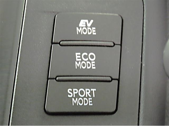 HS HS250h バージョンL(20枚目)