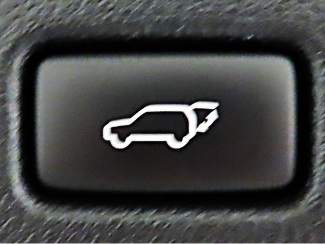 パワーバックドアを装備しております。