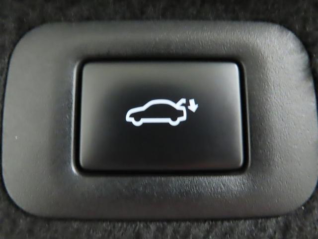 ＬＳ ＬＳ５００ｈ　バージョンＬ（35枚目）