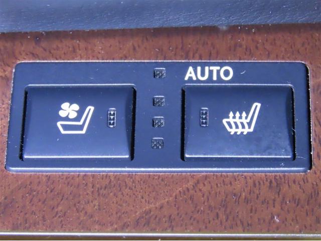 GS GS300h Iパッケージ(4枚目)