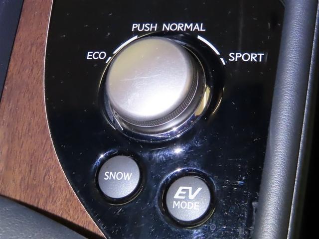 GS GS300h Iパッケージ(22枚目)