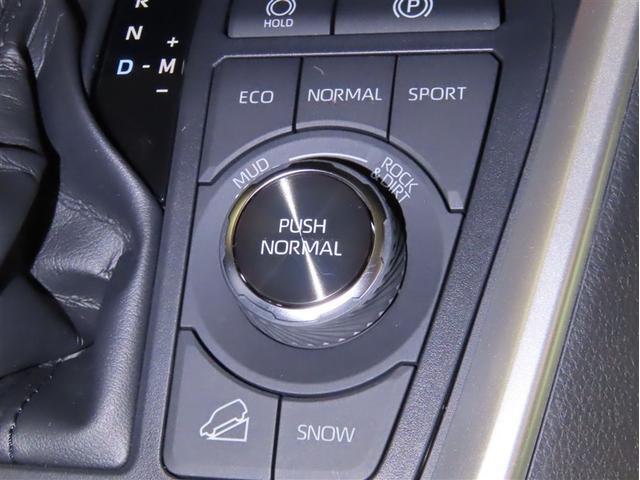 ＲＡＶ４ アドベンチャー（14枚目）