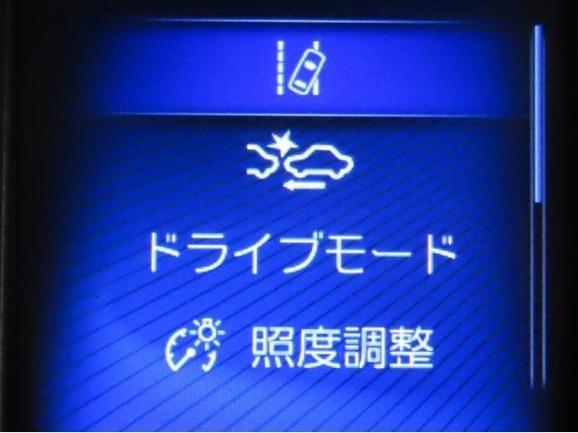 Ｃ－ＨＲ Ｓ　ＬＥＤパッケージ（14枚目）