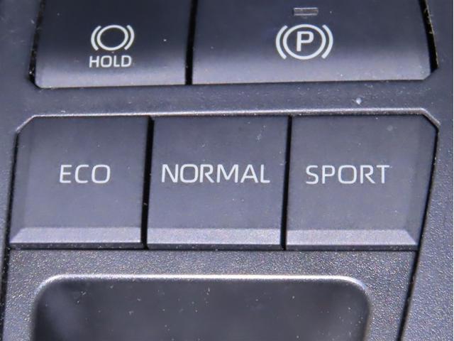 ＲＡＶ４ Ｘ（17枚目）