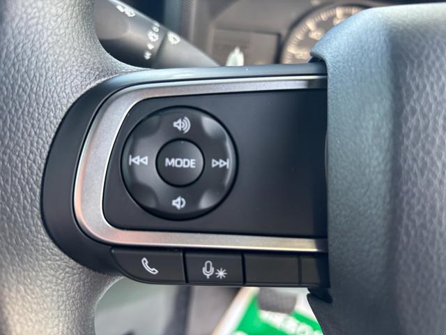 タフト X 届出済未使用車 禁煙 デュアルエアバッグ 安全ボディ キーフリー 記録簿 レーンキープ 横滑り防止機能 運転席エアバック サイドエアバッグ パワーウィンドウ LEDヘッドライト ガラスルーフ(24枚目)