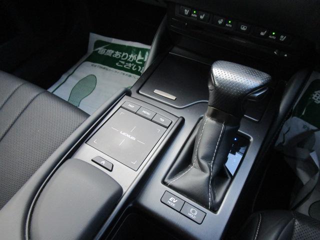 ＥＳ ＥＳ３００ｈ　Ｆスポーツ　ナビＴＶブルートゥース接続Ｂモニター　ヒーター付き黒本革パワーシート　サンルーフ　ドライブレコーダー　ステアリングヒーター　ＥＴＣ　記録簿付き（24枚目）
