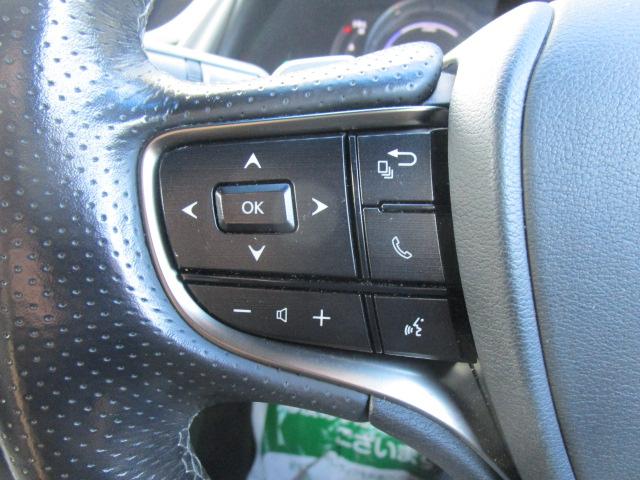 ＥＳ ＥＳ３００ｈ　Ｆスポーツ　ナビＴＶブルートゥース接続Ｂモニター　ヒーター付き黒本革パワーシート　サンルーフ　ドライブレコーダー　ステアリングヒーター　ＥＴＣ　記録簿付き（25枚目）