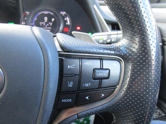 ＥＳ ＥＳ３００ｈ　Ｆスポーツ　ナビＴＶブルートゥース接続Ｂモニター　ヒーター付き黒本革パワーシート　サンルーフ　ドライブレコーダー　ステアリングヒーター　ＥＴＣ　記録簿付き（26枚目）