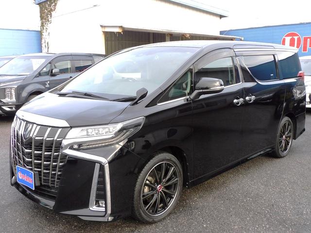 アルファード 2.5S Cパッケージ 後期・10インチフルセグナビ・バックカメラ・BTオーディオ・両側自動ドア・3眼LEDライト・フォグlED・デジタルミラー・トヨタセーフティセンス・ETC・シートヒーター・フロアマット・ドアバイザー(23枚目)