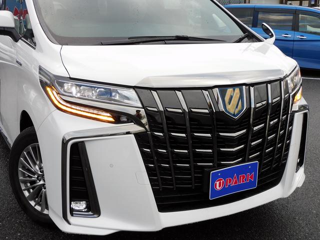 アルファードハイブリッド S タイプゴールド 後期・9インチフルセグナビ・バックカメラ・BTオーディオ・両側自動ドア・3眼LEDライト・フォグLED・トヨタセーフティセンス・ACC・ETC・ハーフレザーシート・フロアマット・ドアバイザー(16枚目)