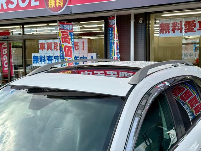 シボレーキャプティバ ベースグレード 法定整備付 純正ナビTV SR 黒革 禁煙 ETC 前席&後席シートヒーター バックカメラ(21枚目)