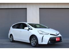 ץꥦե ӡ;ꡡҳʥӡʥ˥ 0540535A30251115W004 2