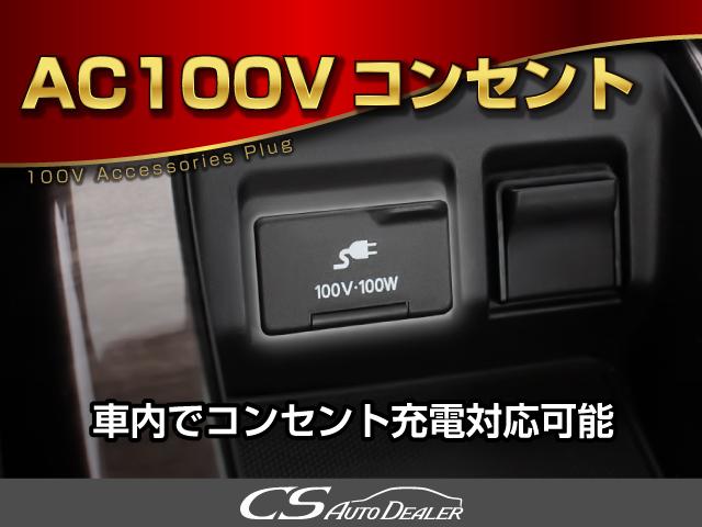 エルグランド ２５０ハイウェイスター　（禁煙車両）（両側電動スライドドア）８人乗りフルフラットシー／全周囲カメラ／後席モニター／メーカーオプションナビ／ハーフレザーシートＡＣ１００Ｖ電源／クリアランスソナー／ＨＩＤヘッドライト／フルセグ（33枚目）