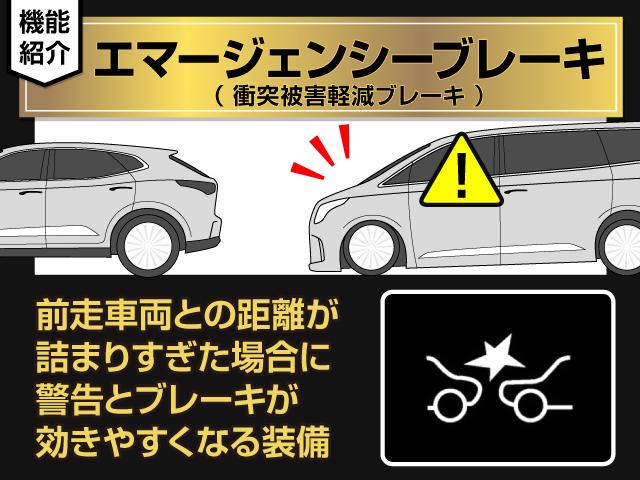 エルグランド ３５０ハイウェイスタープレミアムアーバンクロム　（禁煙車）（ＢＯＳＥサウンドシステム）後席モニター／全周囲カメラ／インテリジェントクルーズコントロール／エマージェンシーブレーキ／標識検知機能／車線逸脱警報／黒本革シート／両側電動スライドドア／ＥＴＣ（33枚目）