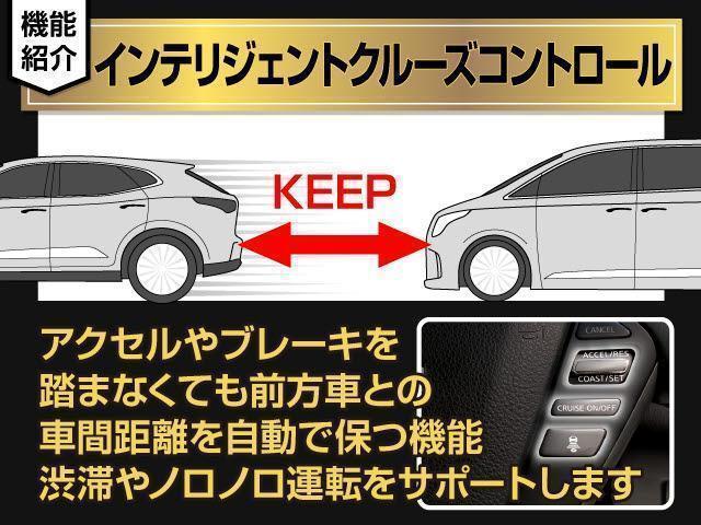 エルグランド ＶＩＰ　（禁煙＆ワンオーナー車両）（３６０°セーフティアシスト）ツインサンルーフ／オートステップ／後席モニター／両側電動スライドドア／黒本革シート／ＡＣ１００Ｖ電源／新品タイヤ／Ｂｌｕ－ｒａｙ再生／記録簿６（37枚目）