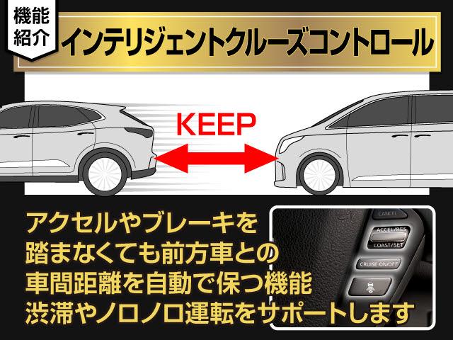エルグランド ライダー ハイパフォーマンススペック ブラックライン (点検記録簿10枚)(インテリジェントクルーズコントロール)(エマージェンシーブレーキ)黒本革/全周囲カメラ/専用ECU・ダウンサス・ボディ補強/両側自動ドア/パワーバックドア/純正HDDナビ/(10枚目)