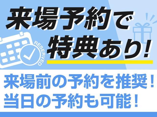 エルグランド ２５０ハイウェイスターＳ　（福祉車両）（ステップタイプ）サンルーフ／後席モニター／両側電動スライドドア／バックカメラ／ハーフレザーシート／クルーズコントロール／クリアランスソナー／後席オットマン／ＬＥＤヘッドライト／フルセグ（26枚目）