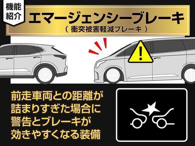 エルグランド ＶＩＰ　（点検整備記録簿１５枚）（ツインサンルーフ）白本革シート／保冷温庫／インテリジェントクルーズコントロール／エマージェンシーブレーキ／後席モニター／両側自動ドア／パワーバックドア／ＡＣ１００Ｖ電源（37枚目）