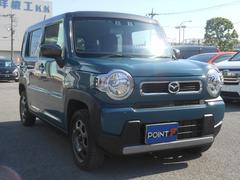 ե쥢С ϥ֥åɣأǡʥӡե륻ԣ֡ģ֣ġ֥롼ȥ 0540599A30251107W001 3