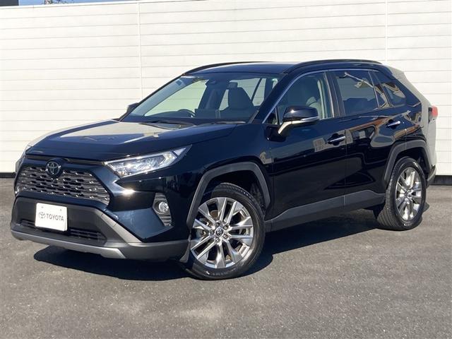 ＲＡＶ４ Ｇ　Ｚパッケージ　インテリジェントクリアランスソナー　パノラマルーフ　整備記録簿　ＡＷＤ　ＬＥＤライト　アルミホイル　オートクルーズ　横滑り防止装置　バックガイドモニター　盗難防止装置　デュアルエアバッグ　メモリナビ（17枚目）