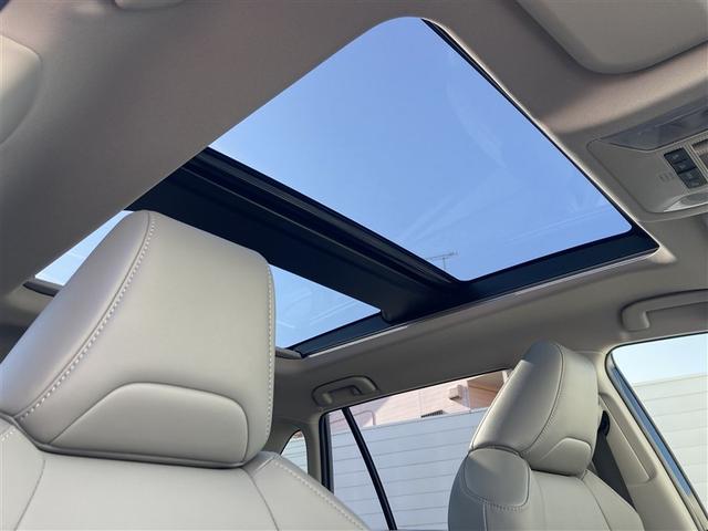 ＲＡＶ４ Ｇ　Ｚパッケージ　インテリジェントクリアランスソナー　パノラマルーフ　整備記録簿　ＡＷＤ　ＬＥＤライト　アルミホイル　オートクルーズ　横滑り防止装置　バックガイドモニター　盗難防止装置　デュアルエアバッグ　メモリナビ（22枚目）