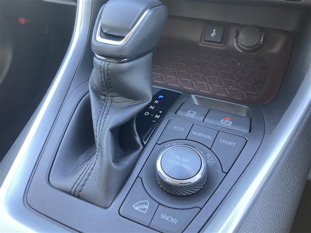 ＲＡＶ４ Ｇ　Ｚパッケージ　インテリジェントクリアランスソナー　パノラマルーフ　整備記録簿　ＡＷＤ　ＬＥＤライト　アルミホイル　オートクルーズ　横滑り防止装置　バックガイドモニター　盗難防止装置　デュアルエアバッグ　メモリナビ（32枚目）