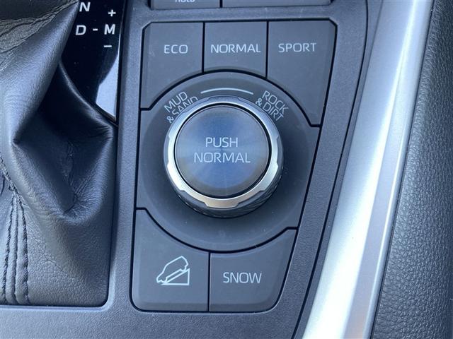 ＲＡＶ４ Ｇ　Ｚパッケージ　インテリジェントクリアランスソナー　パノラマルーフ　整備記録簿　ＡＷＤ　ＬＥＤライト　アルミホイル　オートクルーズ　横滑り防止装置　バックガイドモニター　盗難防止装置　デュアルエアバッグ　メモリナビ（33枚目）