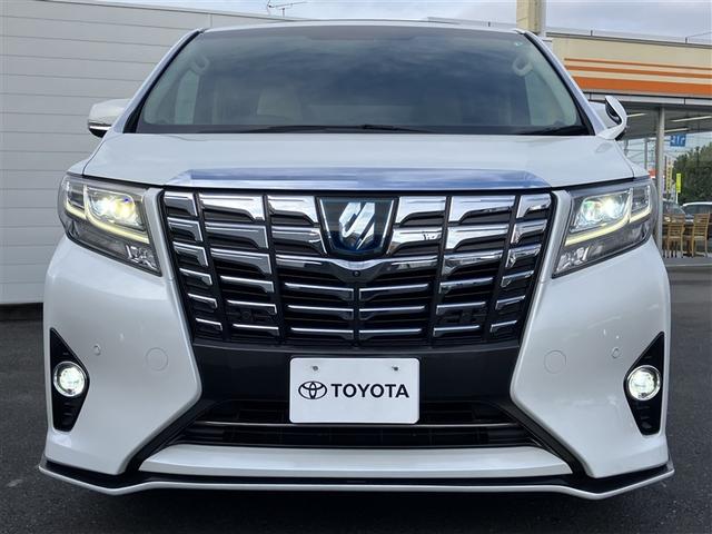 アルファードハイブリッド G TSS オートクルーズ ナビTV サンル-フ 地デジ AC100 盗難防止装置 AW LEDヘッド 4wd キーレス Wエアコン DVD再生機能 ABS エアバッグ ドラレコ 3列シート ETC(2枚目)