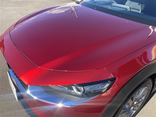 ＣＸ－３０ ２０Ｓ　プロアクティブ　スマキー　オートクルーズコントロール　キーレスエントリー　ドライブレコーダー　バックモニター　ＬＥＤヘッドライト　ＥＴＣ車載器　ＤＶＤオーディオ　横滑り防止装置　サイドエアバッグ　ナビ・ＴＶ（10枚目）