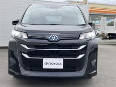 Ǽ�ָ�Υ��ե������ݡ��Ȥ�Хå���Ǥ����¿����Ƥ��֤����Ѥ��������ޤ��ʡ����ݡ����� 2