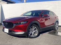 ���䤫���֤��ܥǥ����ޥĥ��餷���ܥǥ��饤������Ω�ƤƤ��ޤ� 2