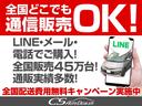 アエラス　プレミアムエディション　（禁煙車両）（フリップダウンモニター）（トヨタ純正８型ＨＤＤナビ）ハーフレザーシート／クルーズコントロール／バックカメラ／両側電動スライドドア／フルセグＴＶ／ダウンサス／オットマン／ＥＴＣ(54枚目)