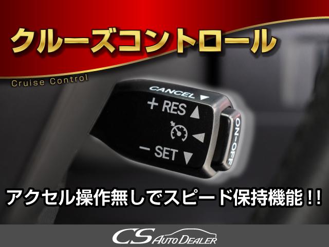 240S Cパッケージ (禁煙車)(エグゼクティブシート)純正HDDナビ/後席モニター/フロント&バックカメラ/ビルトインETC/フルセグ/両側自動ドア/パワーバックドア/クルーズコントロール/クリアランスソナー/(6枚目)