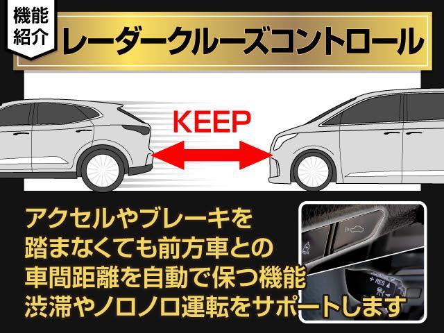 アルファード ２．５Ｓ　Ａパッケージ　タイプブラック　（禁煙車）（シルクブレイズエアロ）（社外１９インチアルミ）（サンルーフ）アルパインＢＩＧ－Ｘ１１型ナビ／後席モニター／前車追従レーダークルーズ／衝突被害軽減ブレーキ／踏み間違い防止装置／両側自動ドア／（37枚目）