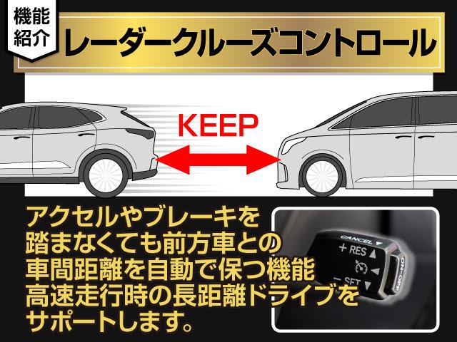 アルファード ３５０Ｇ　Ｌパッケージ　（プレミアムサウンド）（保冷温庫）（ベージュ本革シート）（サンルーフ）レーダークルーズコントロール／プリクラッシュセーフティ／後席モニター／両側電動スライドドア／パワーバックドア／ＡＣ１００Ｖ電源（32枚目）