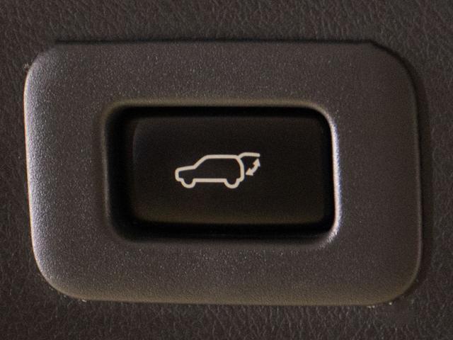 アルファード ２４０Ｓ　タイプゴールドＩＩ　（禁煙車）（サンルーフ）（アルパインＢＩＧ－Ｘ９型ナビ）（後席モニター）専用黒ハーフレザーシート／両側自動ドア／パワーバックドア／クルーズコントロール／クリアランスソナー／コンビハンドル／（33枚目）