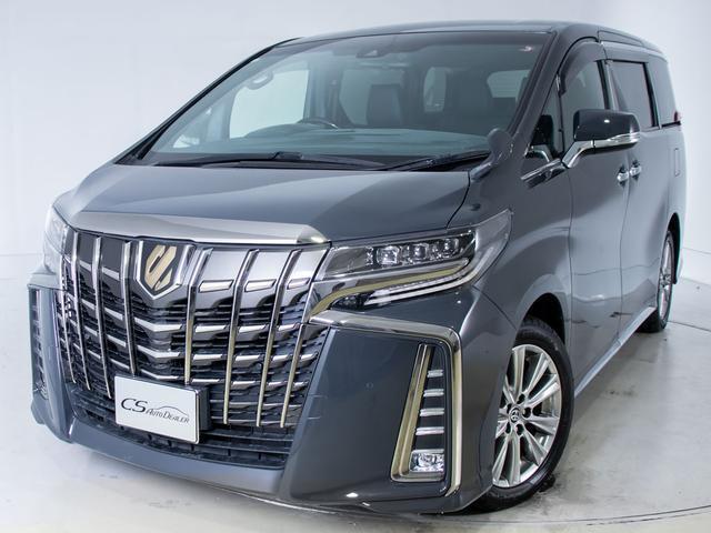 アルファード ２．５Ｓ　タイプゴールド　（禁煙車）（ＢＭＷドラバイトグレーカスタム）（ナビ機能付ディスプレイオーディオ）後席モニター／トヨタセーフティセンス／踏み間違い防止装置／３眼ＬＥＤヘッドライト／黒革調シートカバー（13枚目）