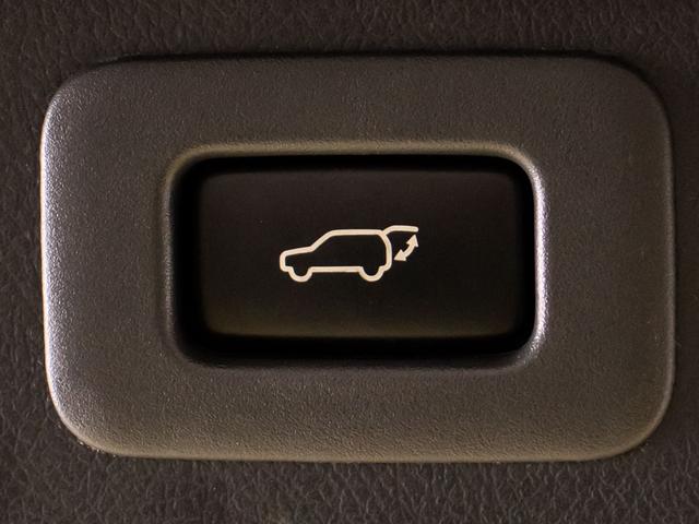 ヴェルファイア 2.4Z ゴールデンアイズ (特別仕様車)(後席モニター)(専用ハーフレザーシート)(両側電動スライドドア)パワーバックドア/コンビハンドル/クルーズコントロール/クリアランスソナー/後席オットマン/Bluetooth接続(30枚目)